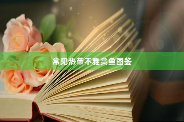 常见热带不雅赏鱼图鉴