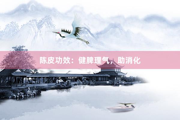 陈皮功效：健脾理气，助消化